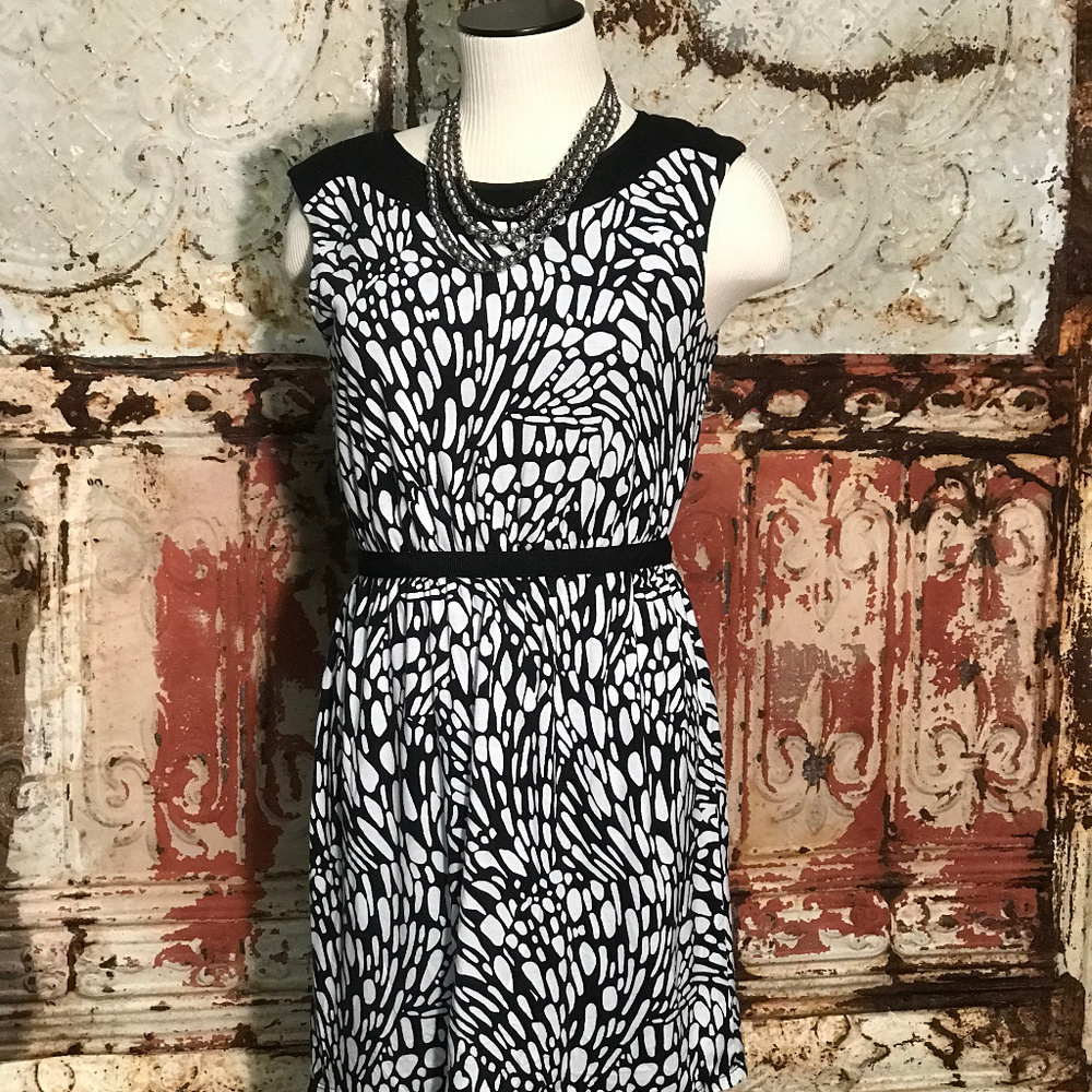 🔥4/20🔥Ann Taylor Loft Dress [912b1]
